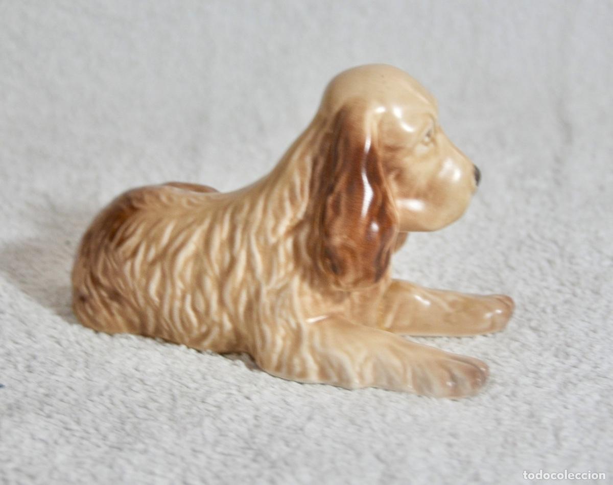 Vintage: Perro cocker de la marca inglesa Sylvac - Foto 4