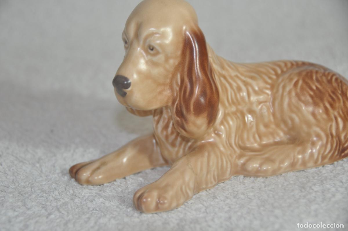 Vintage: Perro cocker de la marca inglesa Sylvac - Foto 7