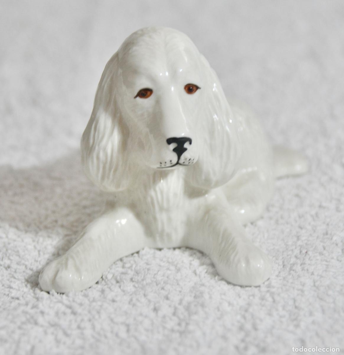Vintage: Cocker Donegal China Irish Parian en blanco - Foto 2