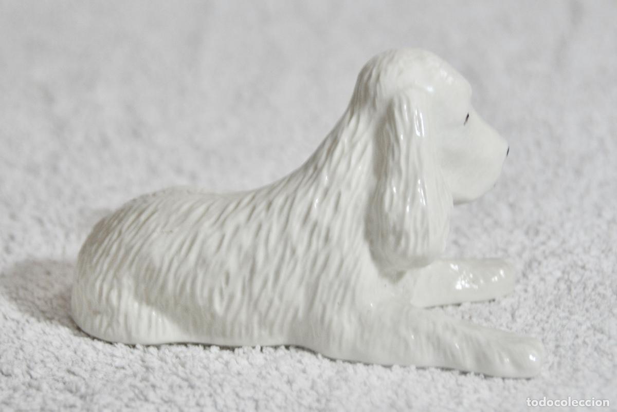 Vintage: Cocker Donegal China Irish Parian en blanco - Foto 3