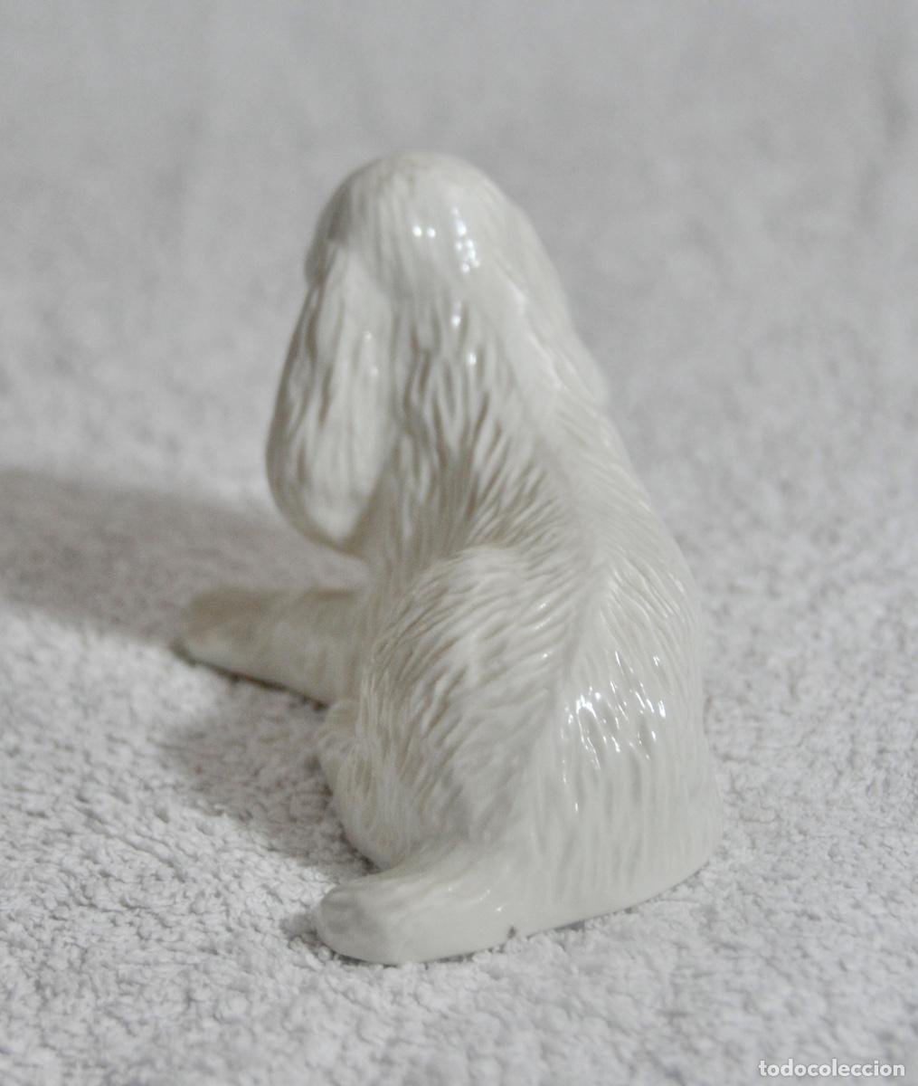 Vintage: Cocker Donegal China Irish Parian en blanco - Foto 4