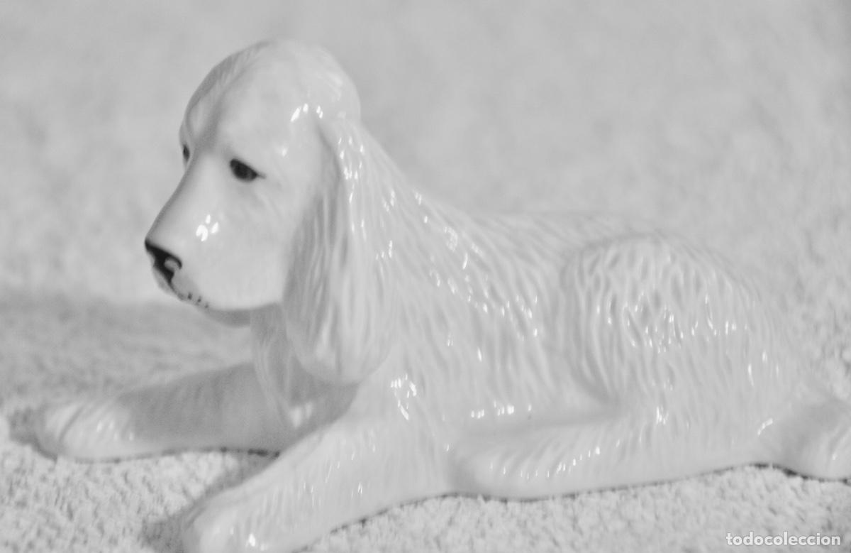 Vintage: Cocker Donegal China Irish Parian en blanco - Foto 6