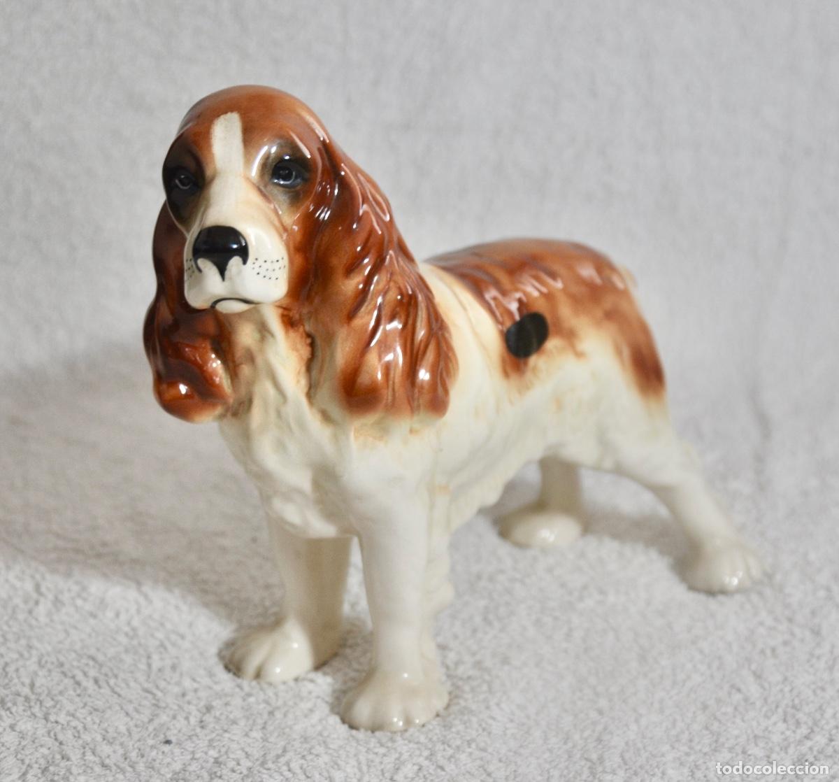Vintage: Perro cocker en porcelana de la marca Coopercraft - Foto 1