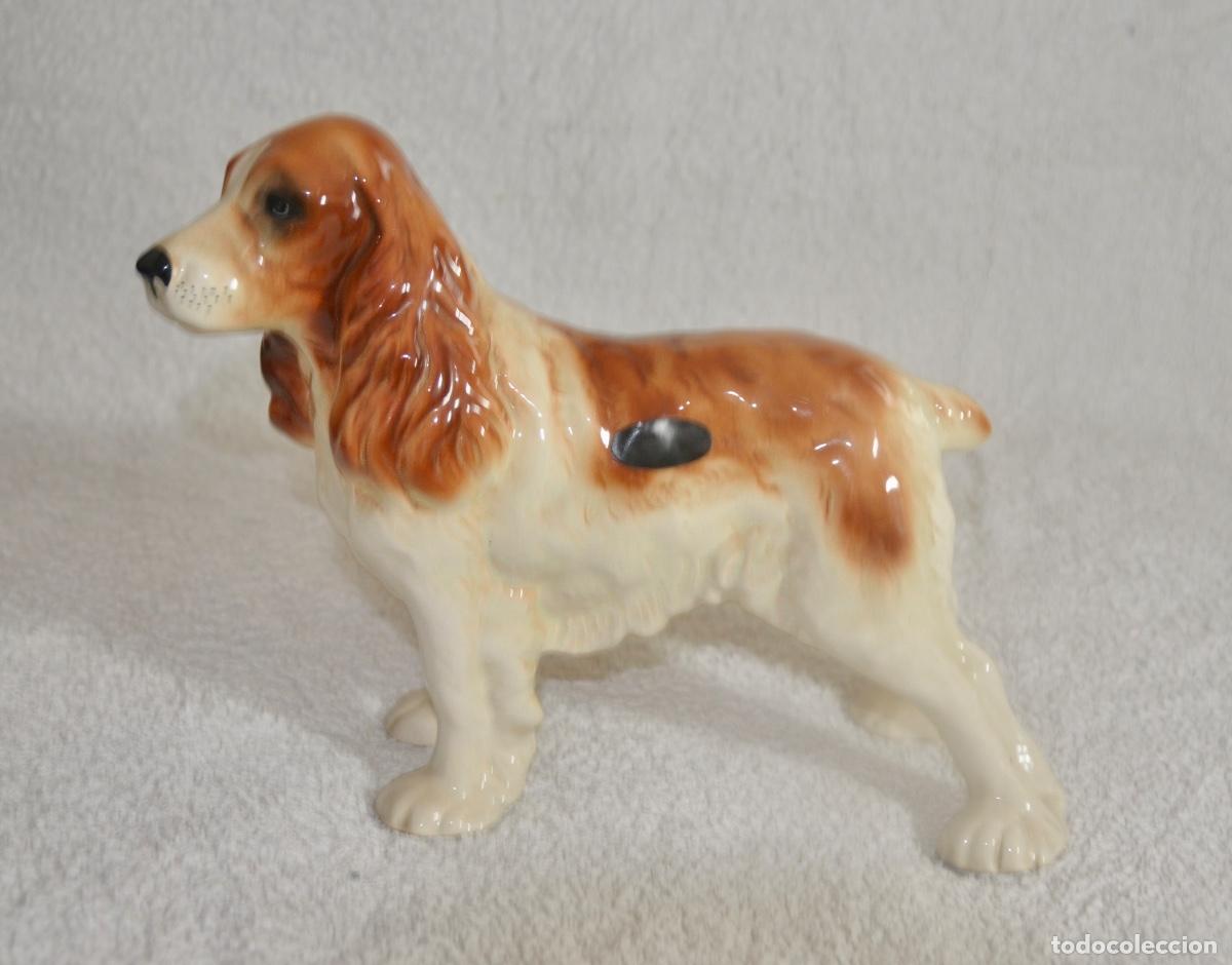Vintage: Perro cocker en porcelana de la marca Coopercraft - Foto 3