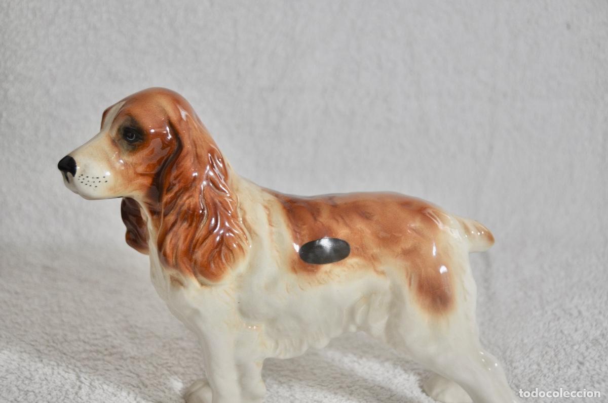 Vintage: Perro cocker en porcelana de la marca Coopercraft - Foto 4
