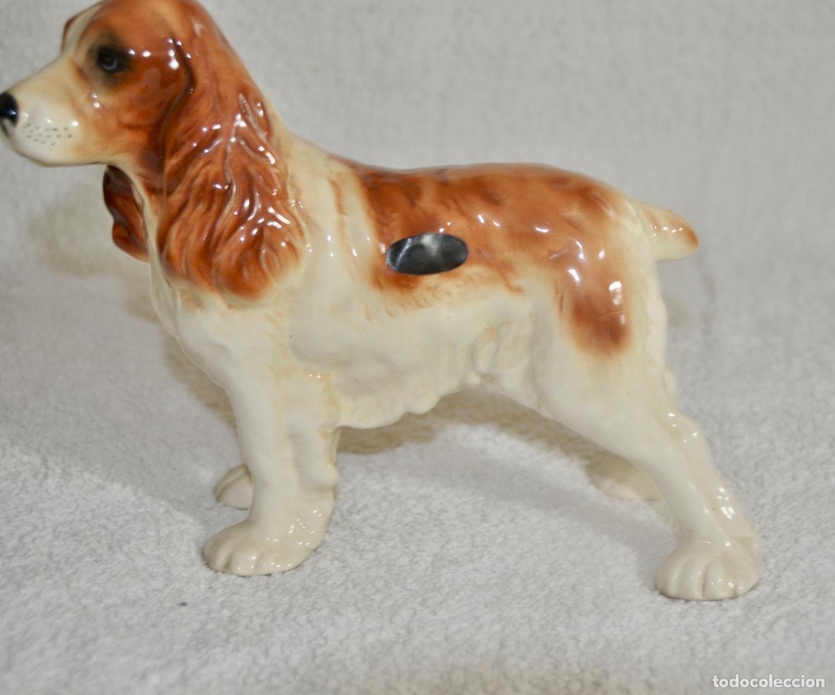 Vintage: Perro cocker en porcelana de la marca Coopercraft - Foto 5