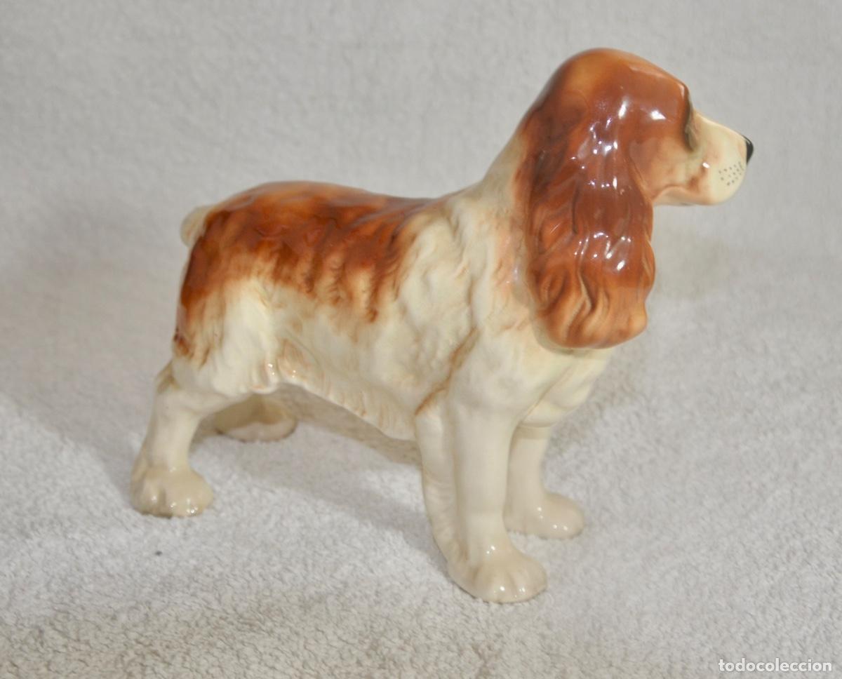 Vintage: Perro cocker en porcelana de la marca Coopercraft - Foto 7