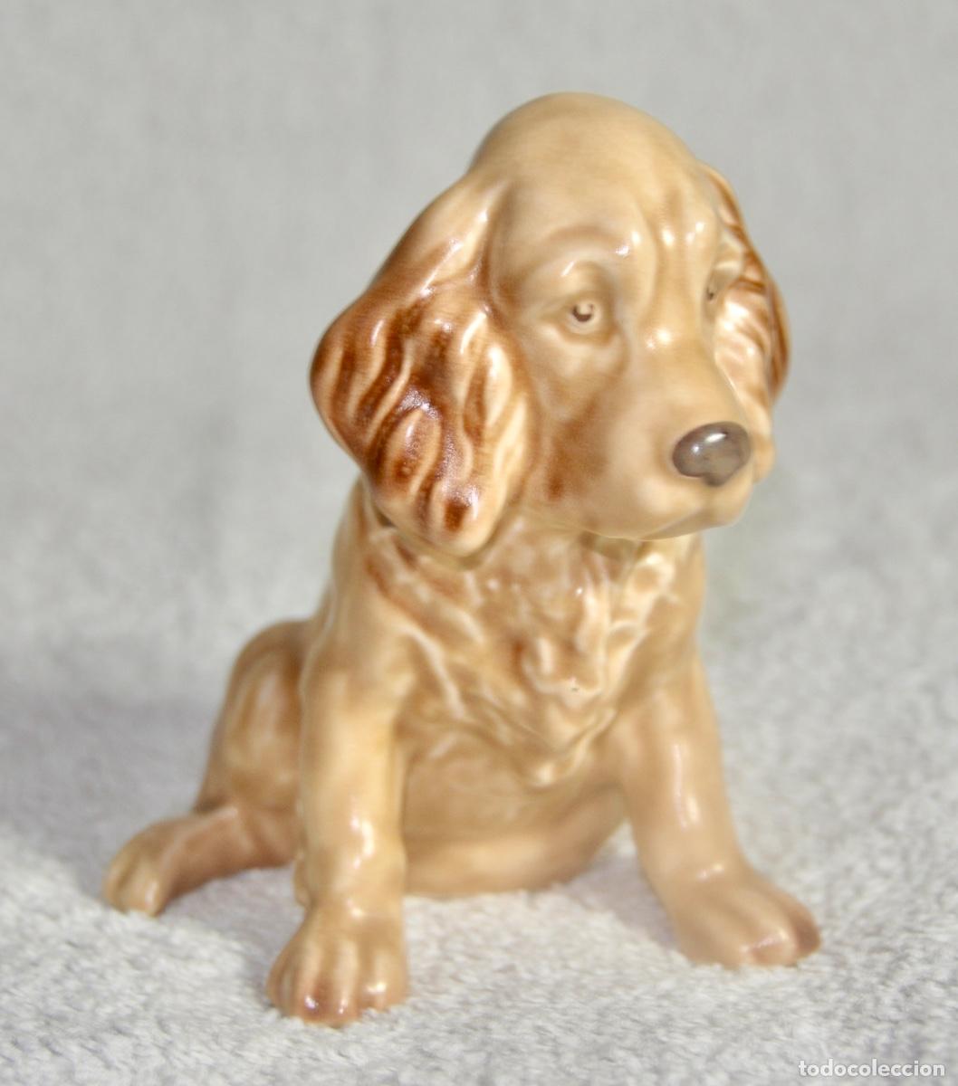 Vintage: Perro cocker de la marca inglesa Sylvac - Foto 1