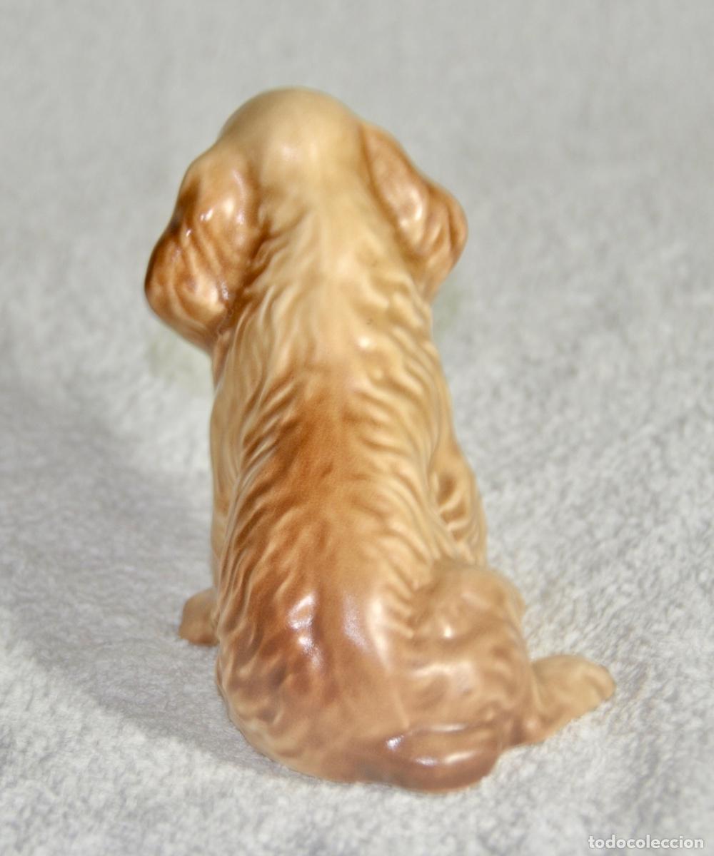 Vintage: Perro cocker de la marca inglesa Sylvac - Foto 3