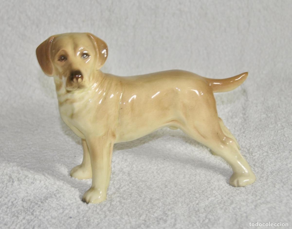 Vintage: Perro Labrador de Coopercraft - Foto 1