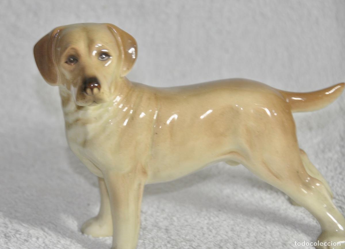 Vintage: Perro Labrador de Coopercraft - Foto 2