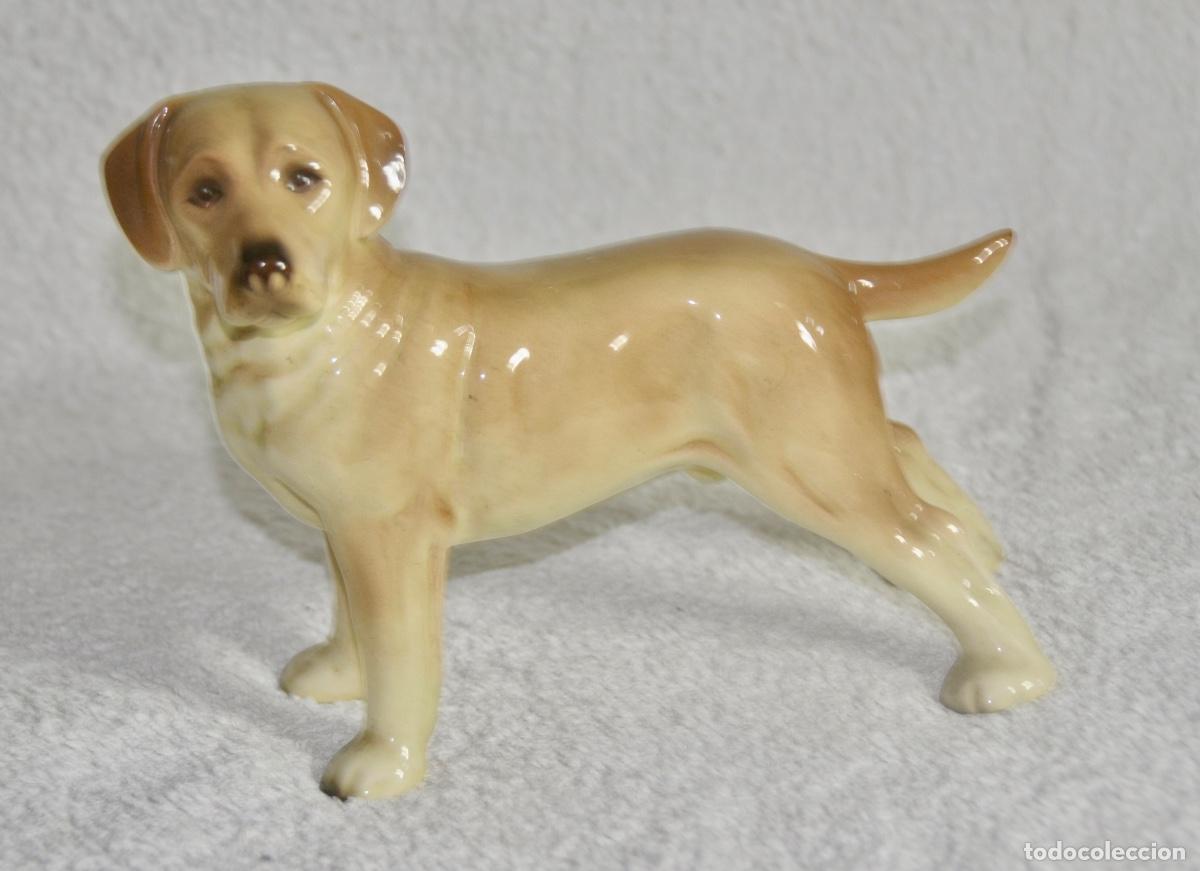 Vintage: Perro Labrador de Coopercraft - Foto 3