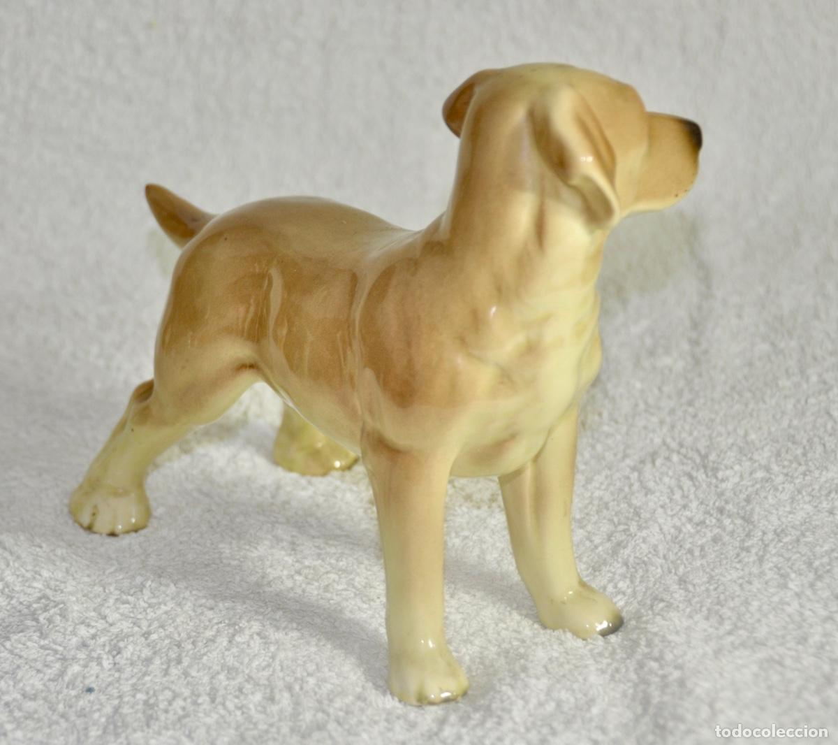 Vintage: Perro Labrador de Coopercraft - Foto 4