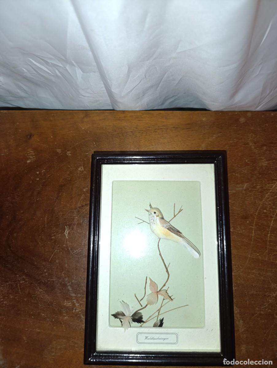 Vintage: Cuadro con pajaro Reinita de madera - Foto 1