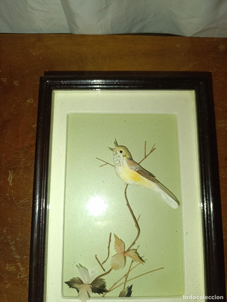 Vintage: Cuadro con pajaro Reinita de madera - Foto 2