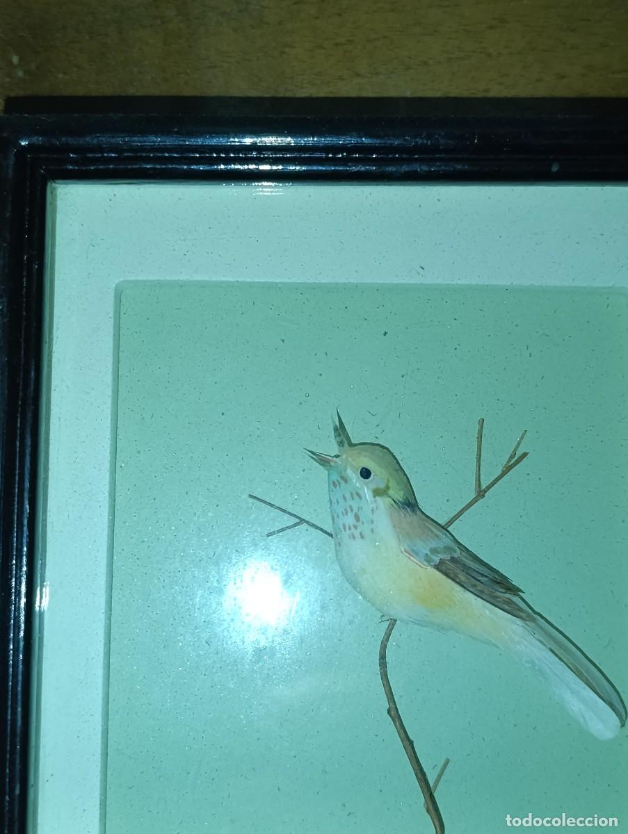 Vintage: Cuadro con pajaro Reinita de madera - Foto 4