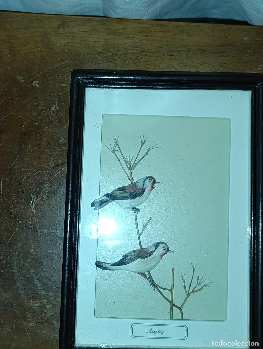 Vintage: Cuadro con pajaros Jilguero - Foto 1