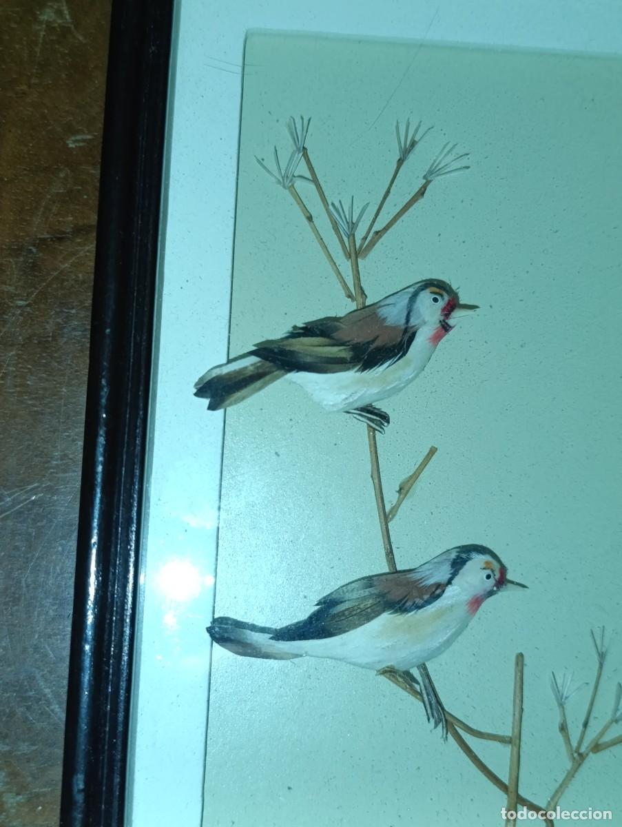 Vintage: Cuadro con pajaros Jilguero - Foto 2