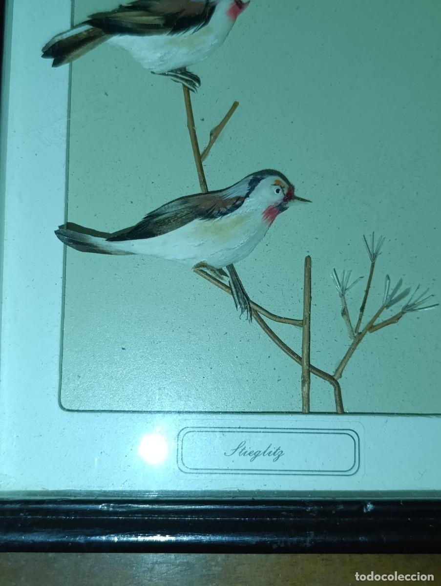 Vintage: Cuadro con pajaros Jilguero - Foto 3