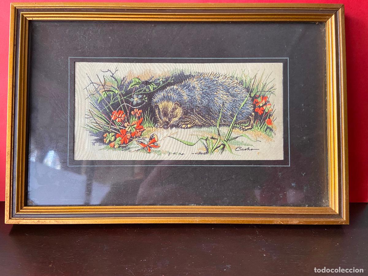 Vintage: 244.- Vintace Cash&acute;s Collector Range. Seda. J & J Cash. England. Erizo