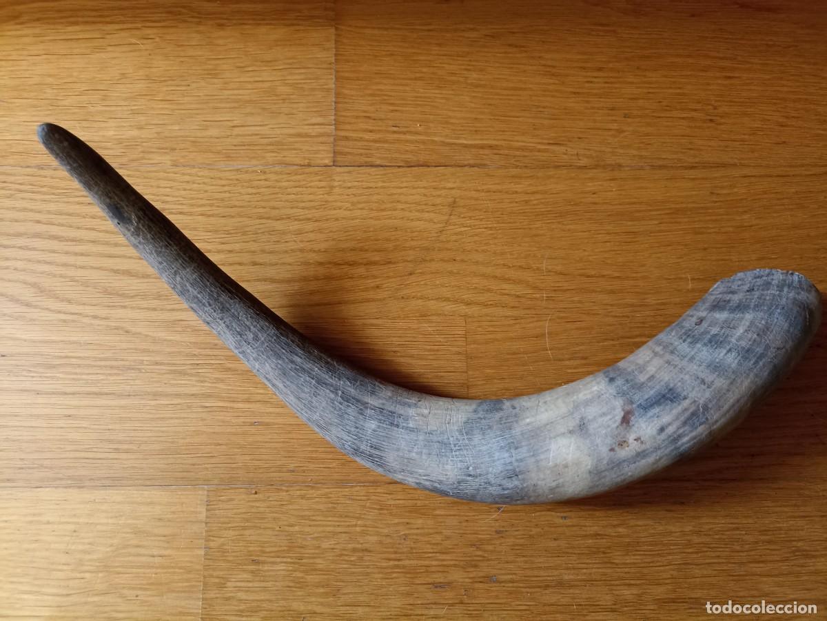 Vintage: CUERNO TORO AUT&Eacute;NTICO - Foto 1