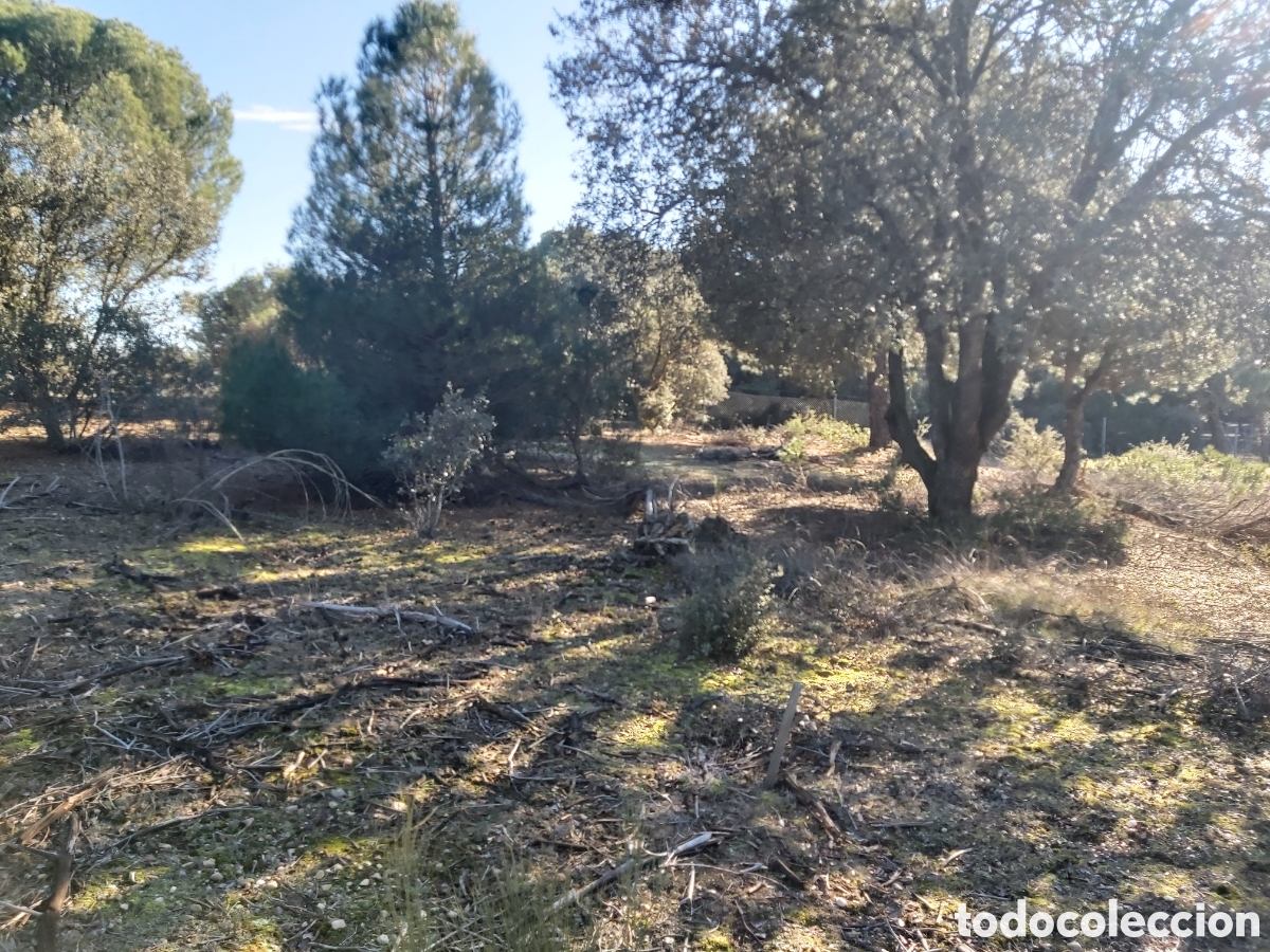 Vintage: TERRENO R&Uacute;STICO EN EL TERMINO DE TORDESILLAS