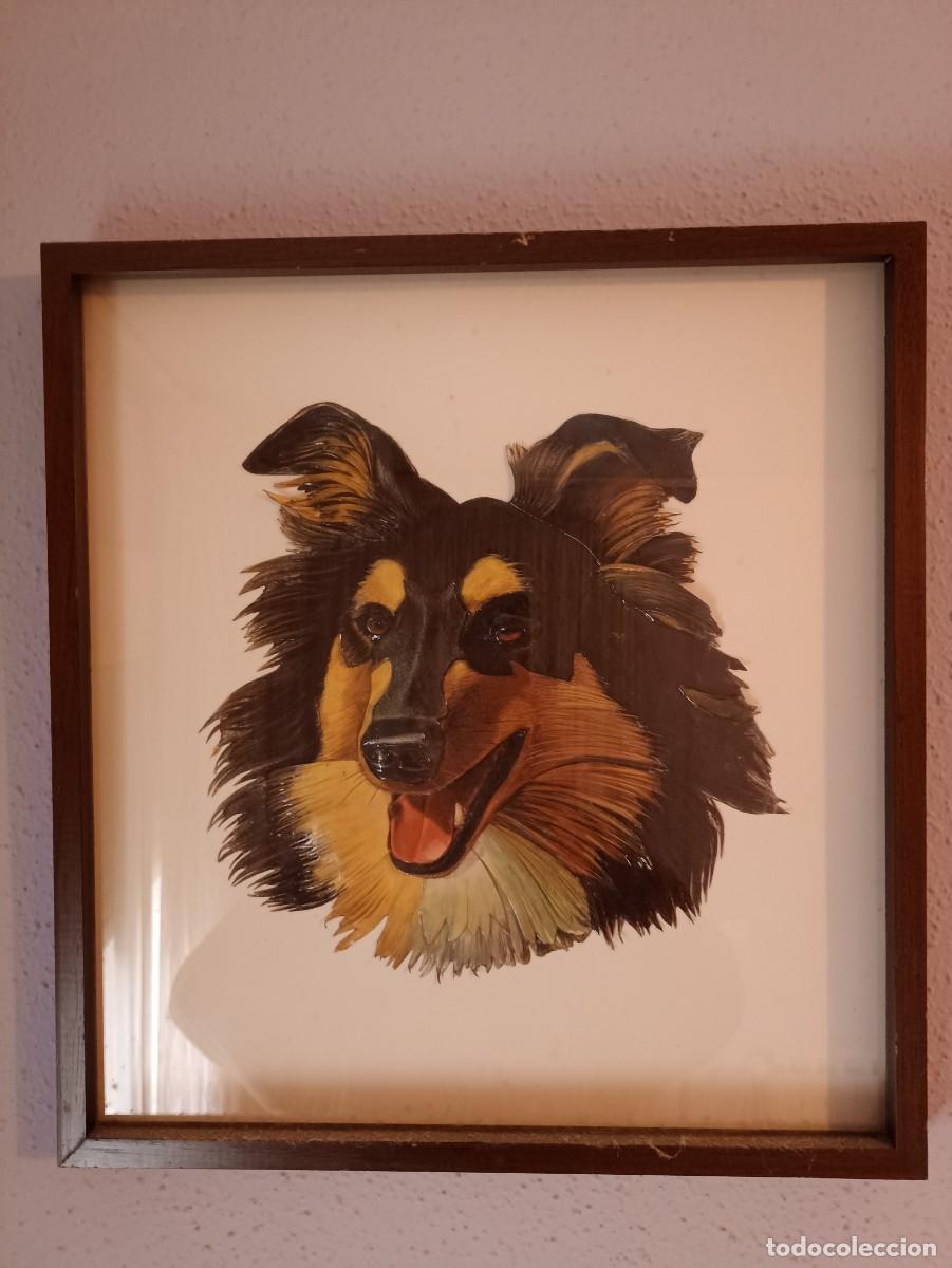 Vintage: CUADRO RELIEVE BORDER COLLIES VINTAGE - Foto 1