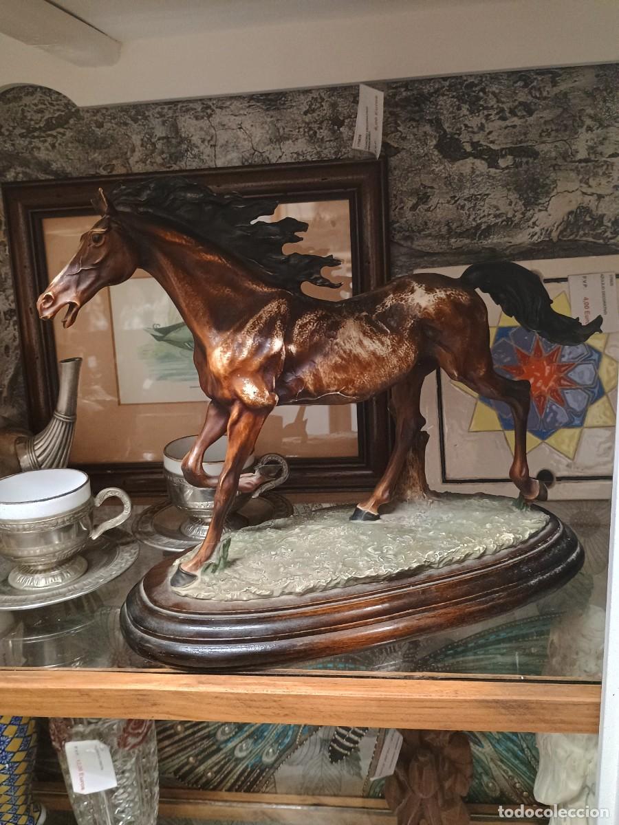 Vintage: Caballo de resina sobre base