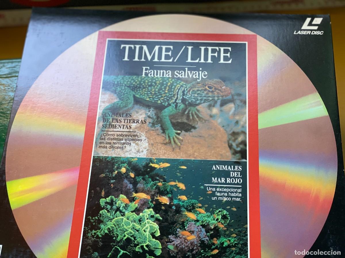 Vintage: 20 DISCOS LASER LASER DISC - Foto 5