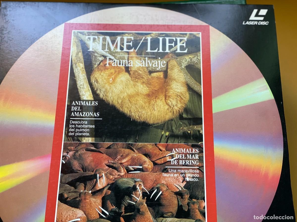 Vintage: 20 DISCOS LASER LASER DISC - Foto 6