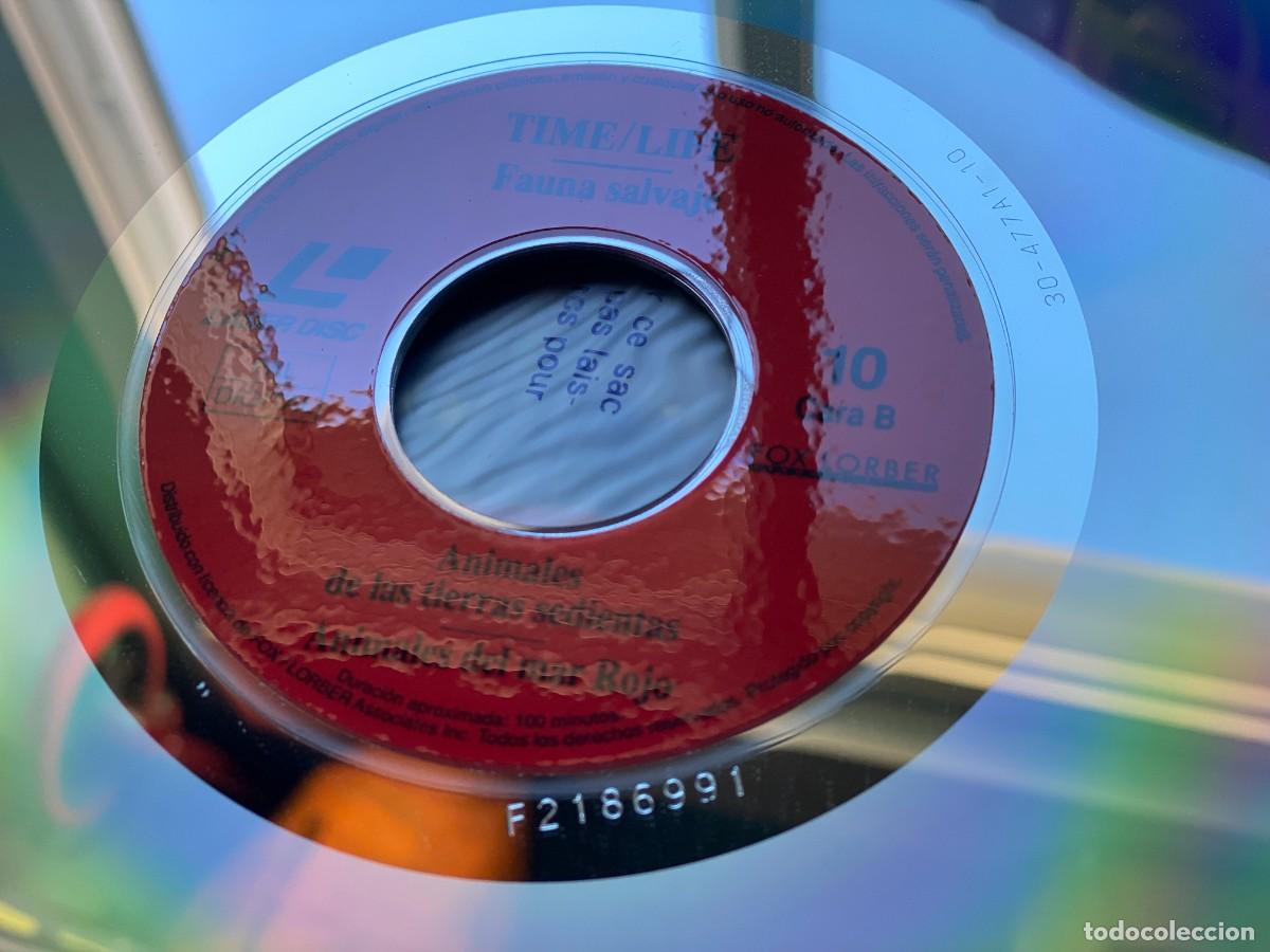 Vintage: 20 DISCOS LASER LASER DISC - Foto 7
