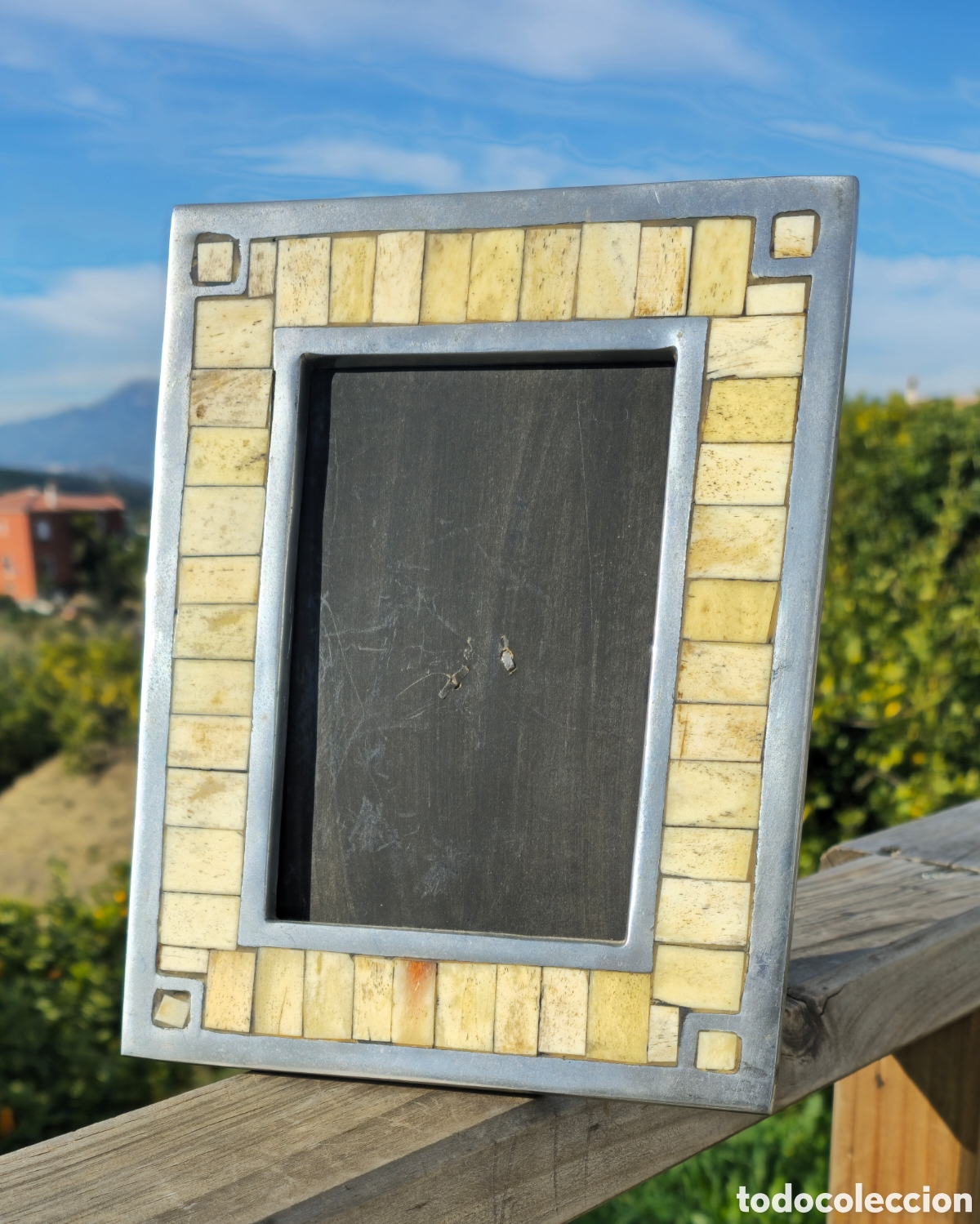 Vintage: Marco aluminio y hueso