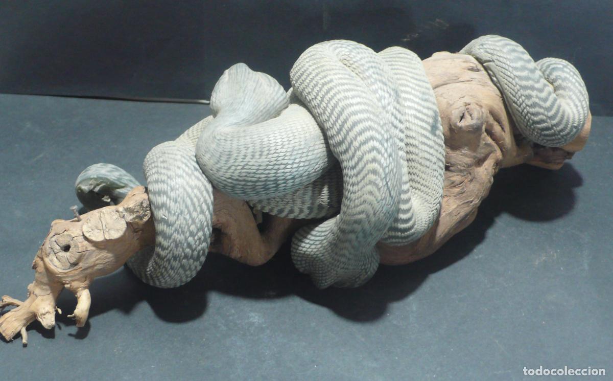 Vintage: SERPIENTE DE CERA ENVUELTA - Foto 2
