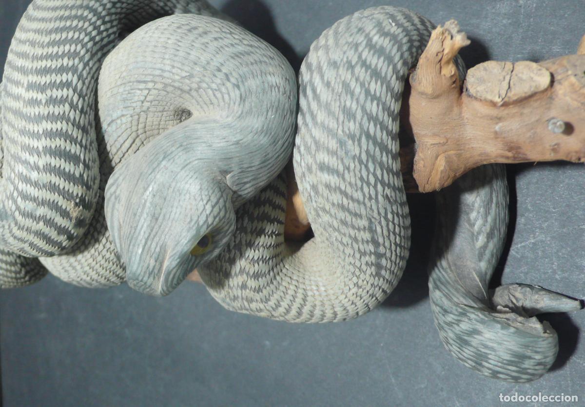 Vintage: SERPIENTE DE CERA ENVUELTA - Foto 4