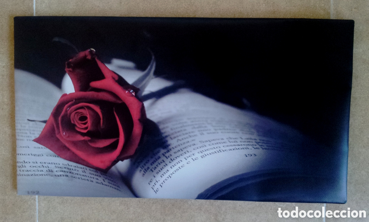 Vintage: Cuadro vintage ROSA y LIBRO - Foto 1