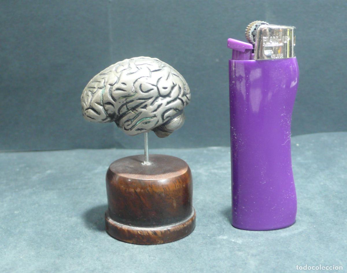 Vintage: PEQUE&Ntilde;A ANATOMIA D CEREBRO - Foto 1