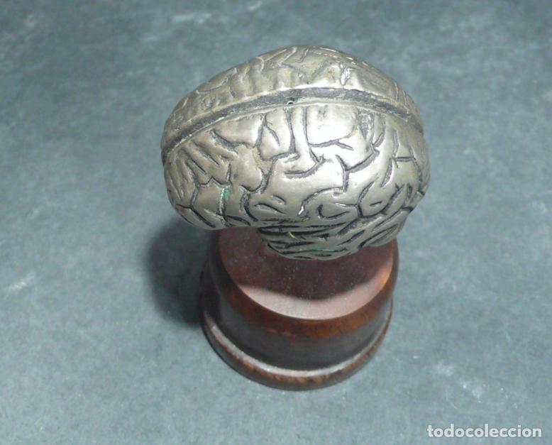 Vintage: PEQUE&Ntilde;A ANATOMIA D CEREBRO - Foto 2