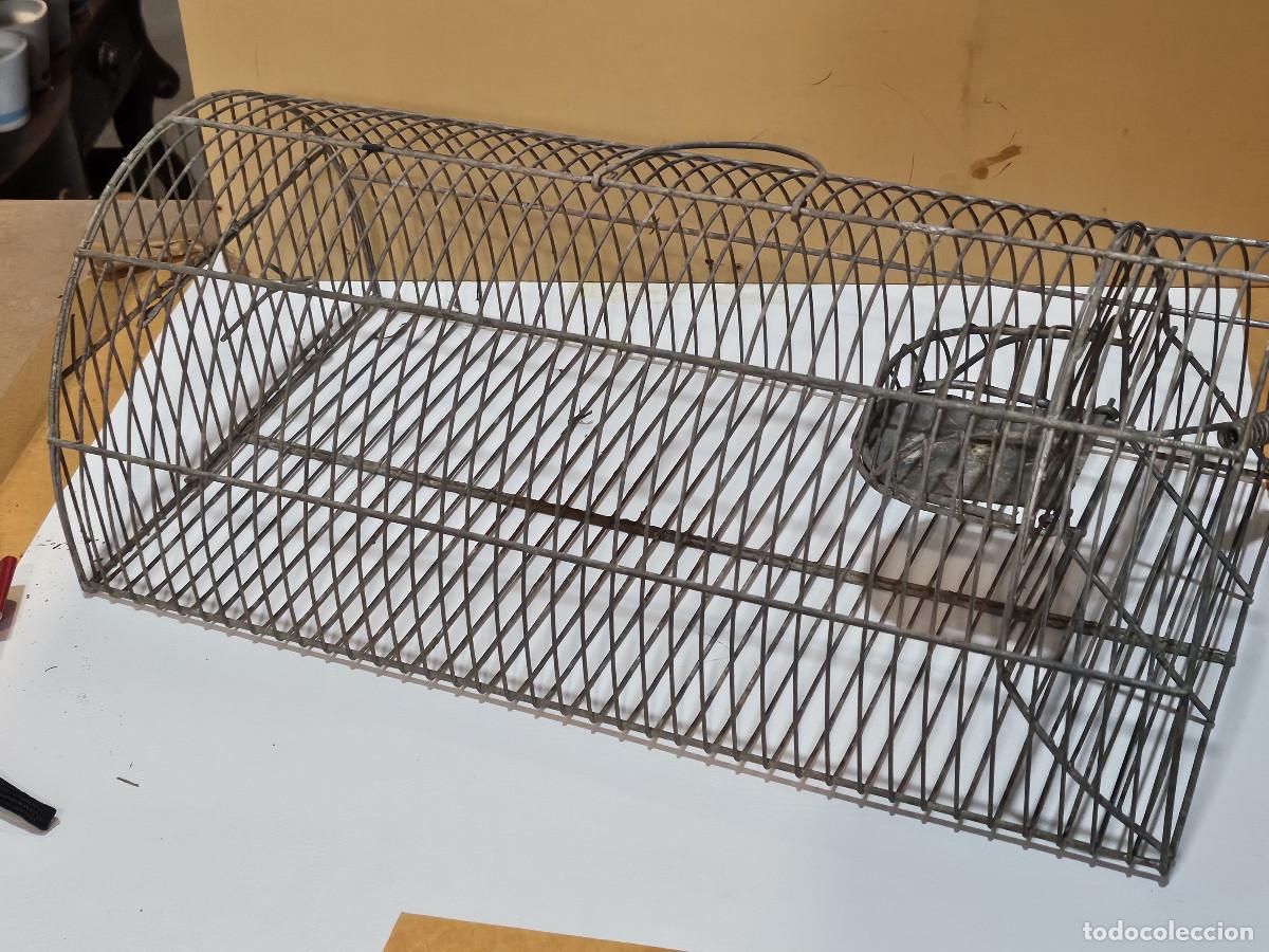 Vintage: trampara para cualquier roedor - Foto 1