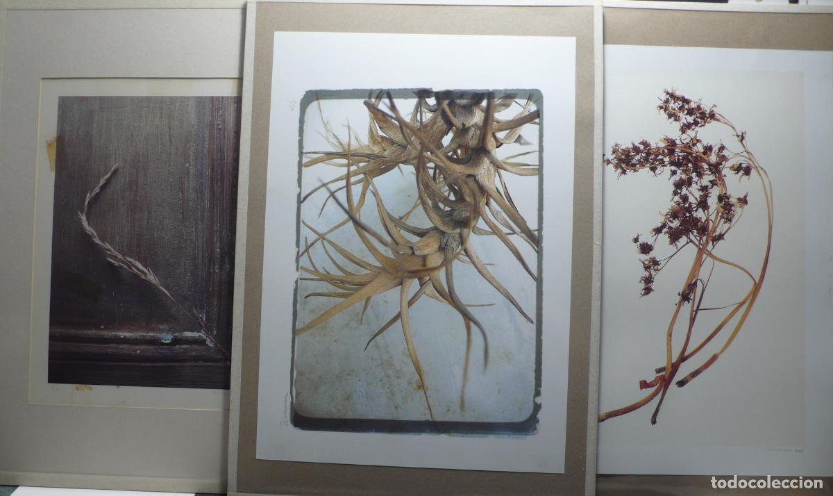Vintage: TRES IMPRESOS PARA DECORACION - Foto 1