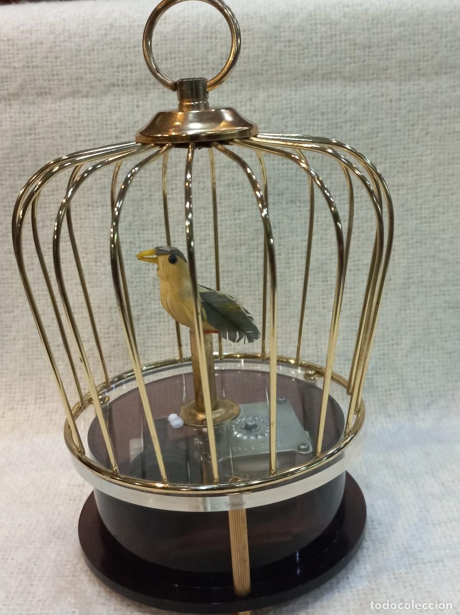 Vintage: JAULA CON P&Aacute;JARO (musical) - Foto 1