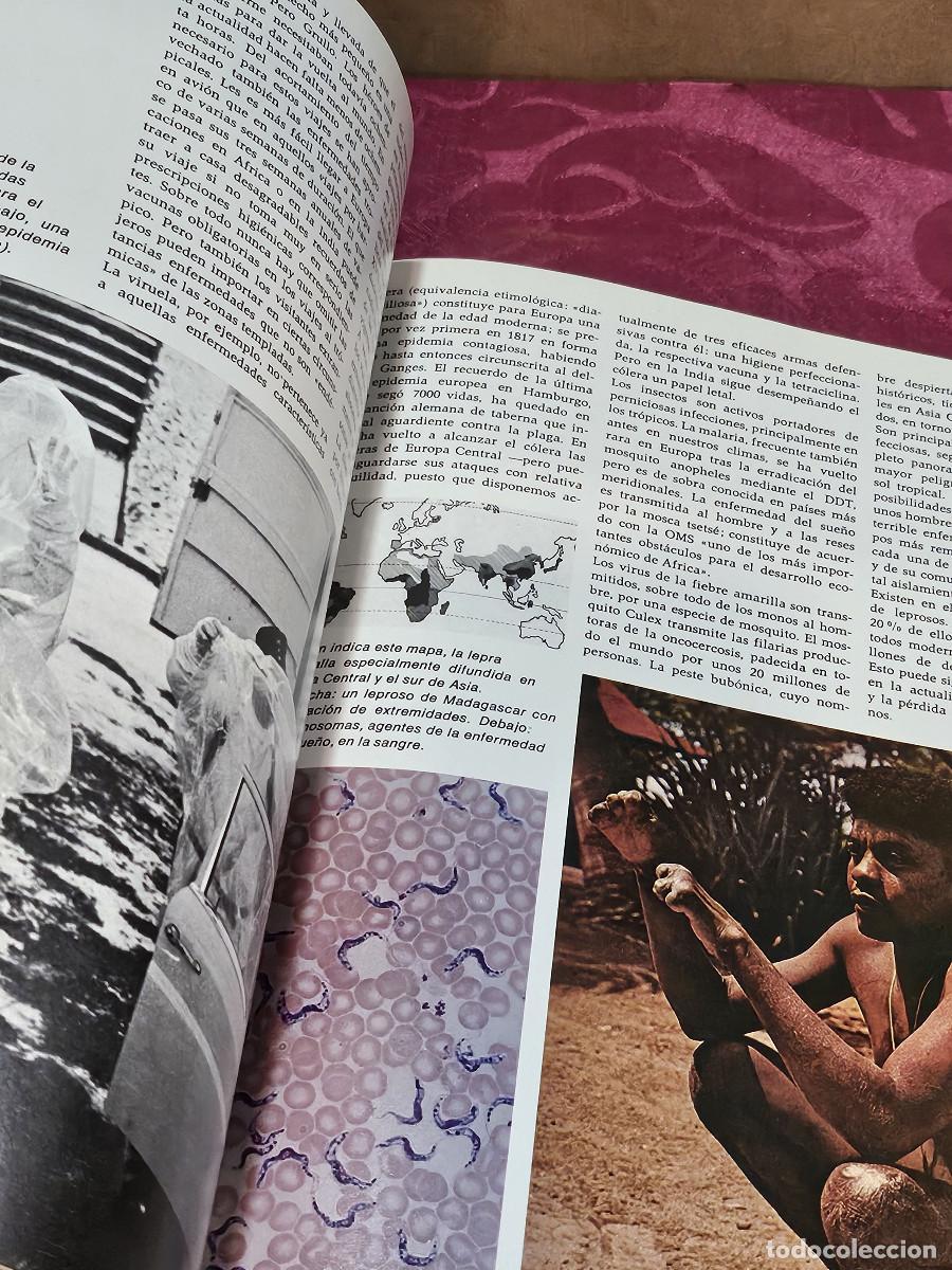 Vintage: el hombre estudio del hombre - Foto 14