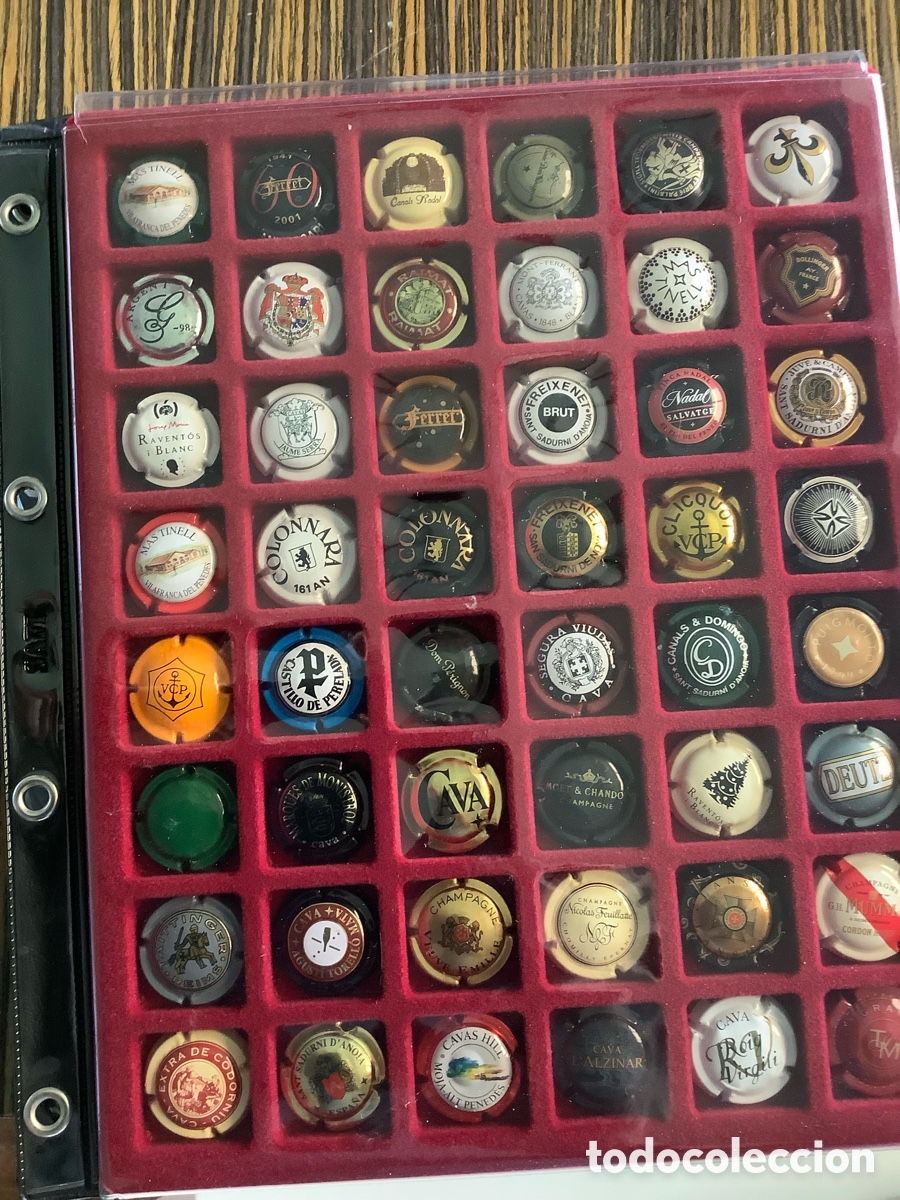 Vintage: Chapas de botellas de champ&aacute;n y cava - Foto 2