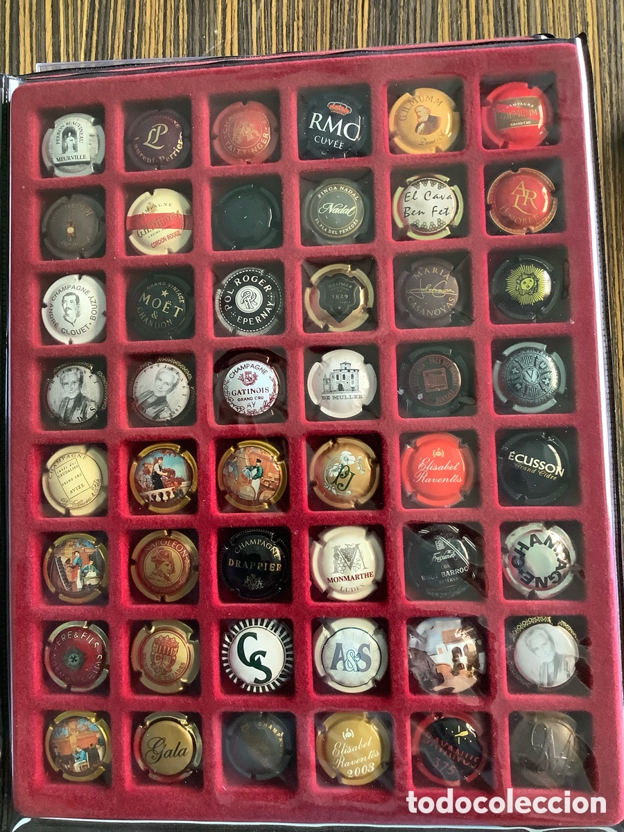 Vintage: Chapas de botellas de champ&aacute;n y cava - Foto 5