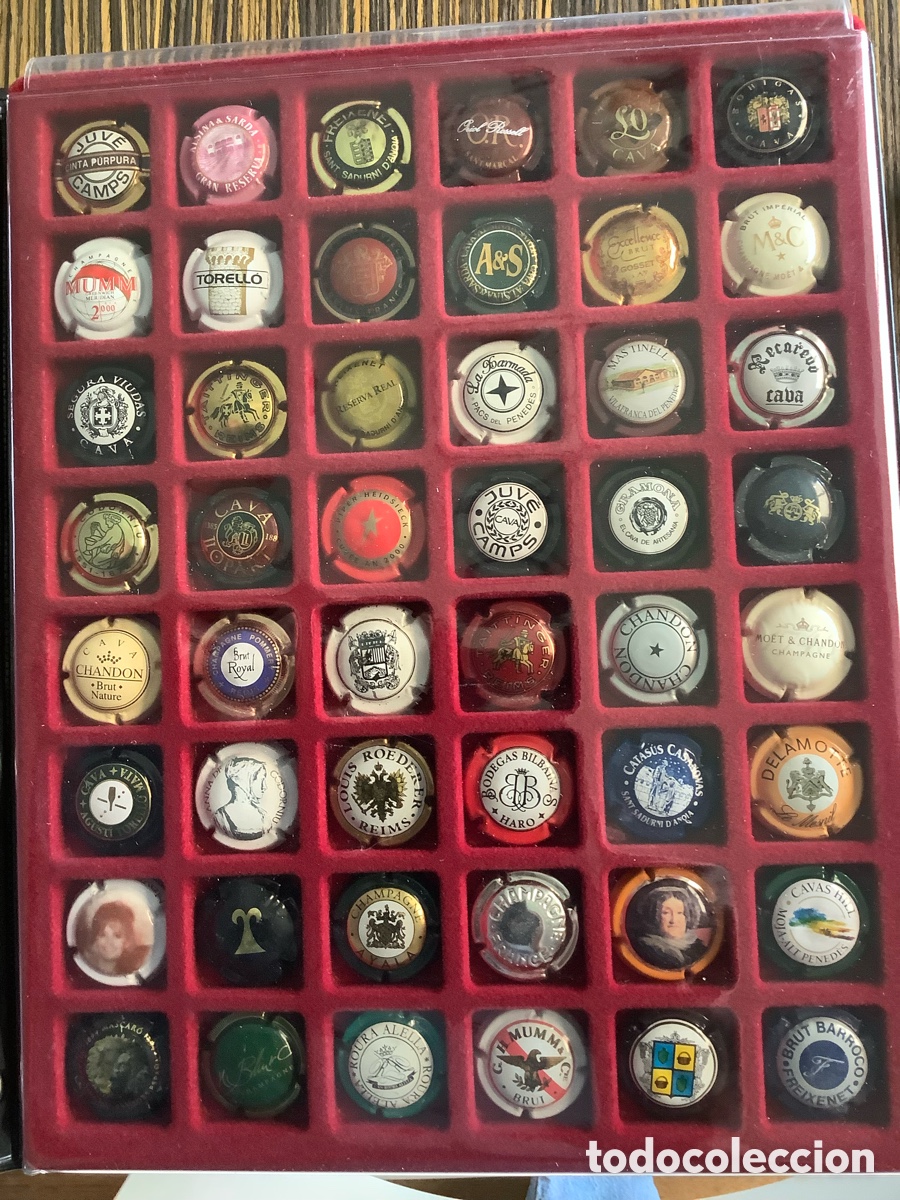 Vintage: Chapas de botellas de champ&aacute;n y cava - Foto 7