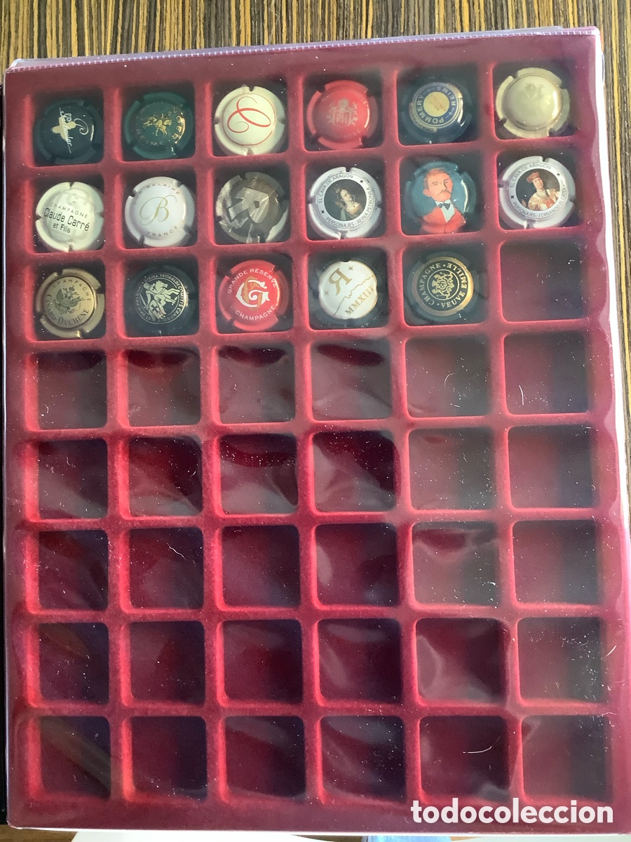 Vintage: Chapas de botellas de champ&aacute;n y cava - Foto 8