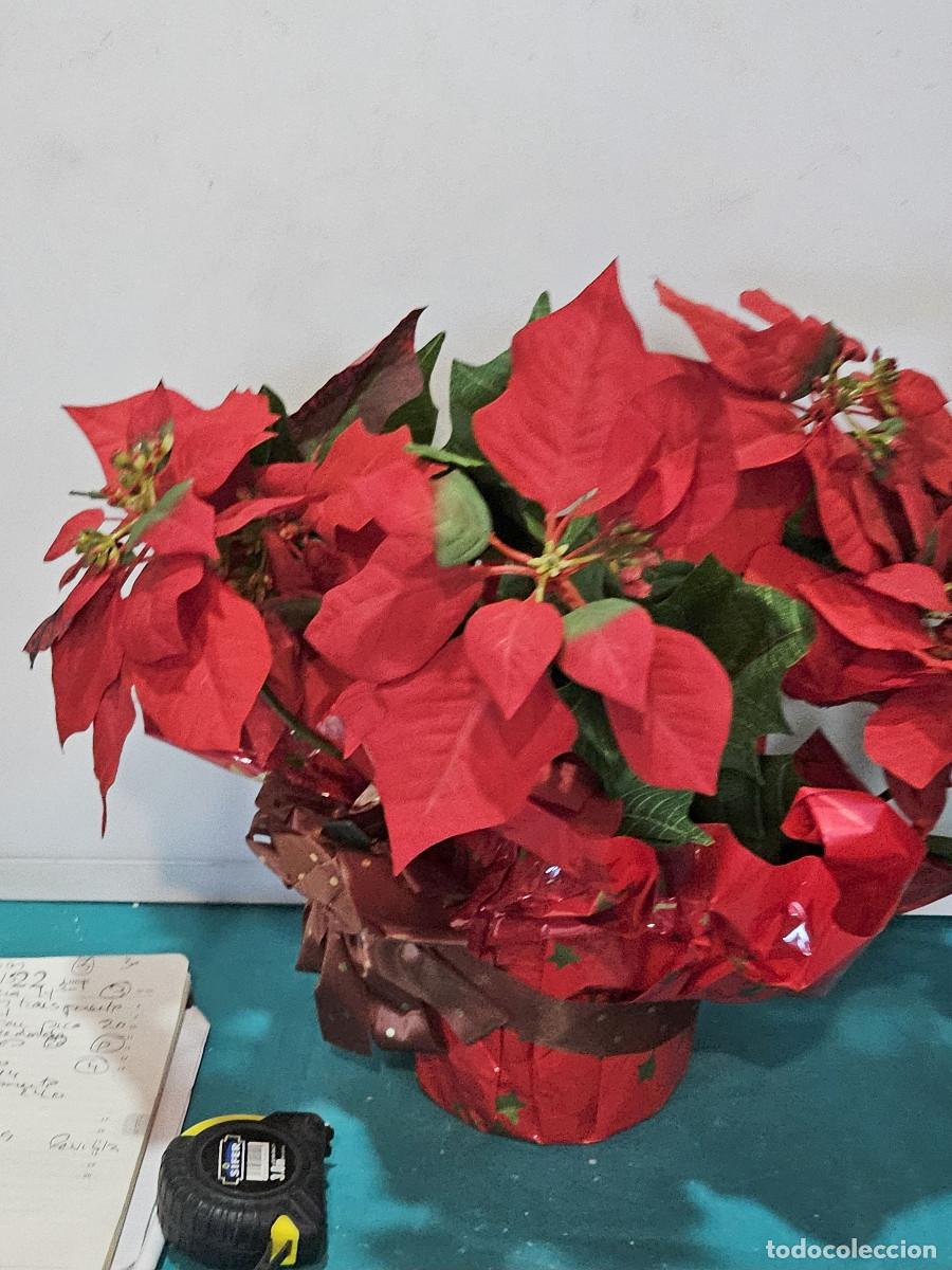 Vintage: maceta de flores de navidad - Foto 3