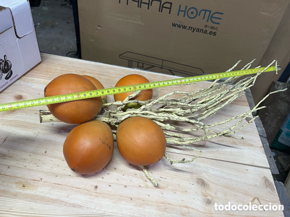 Vintage: Frutas artificiales decorativas - Foto 4