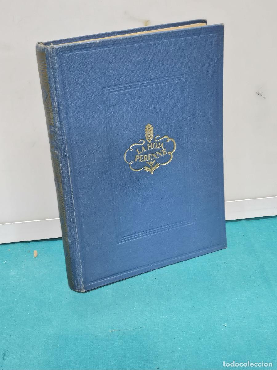 Vintage: libro d ela gaviota antiguo - Foto 1