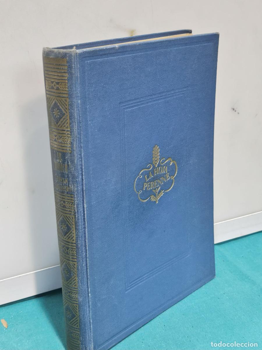Vintage: libro d ela gaviota antiguo - Foto 2