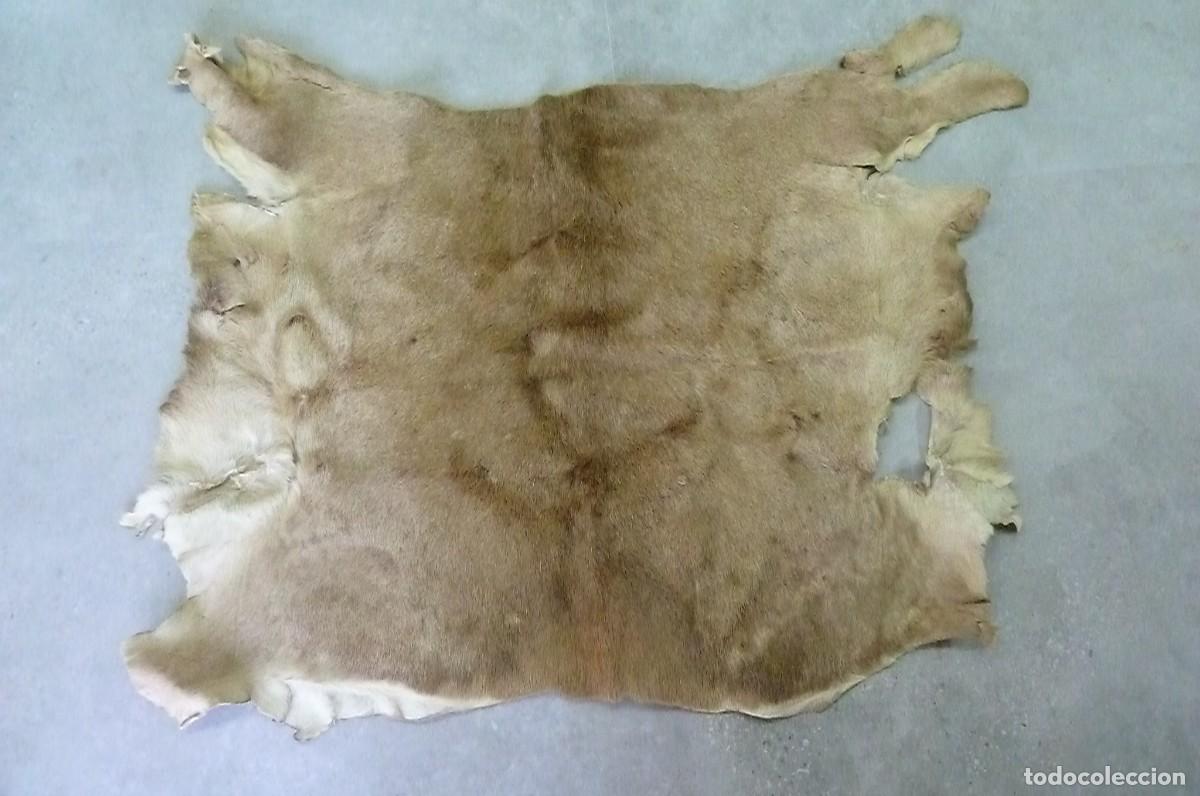 Vintage: Alfombra piel de ciervo - Foto 1